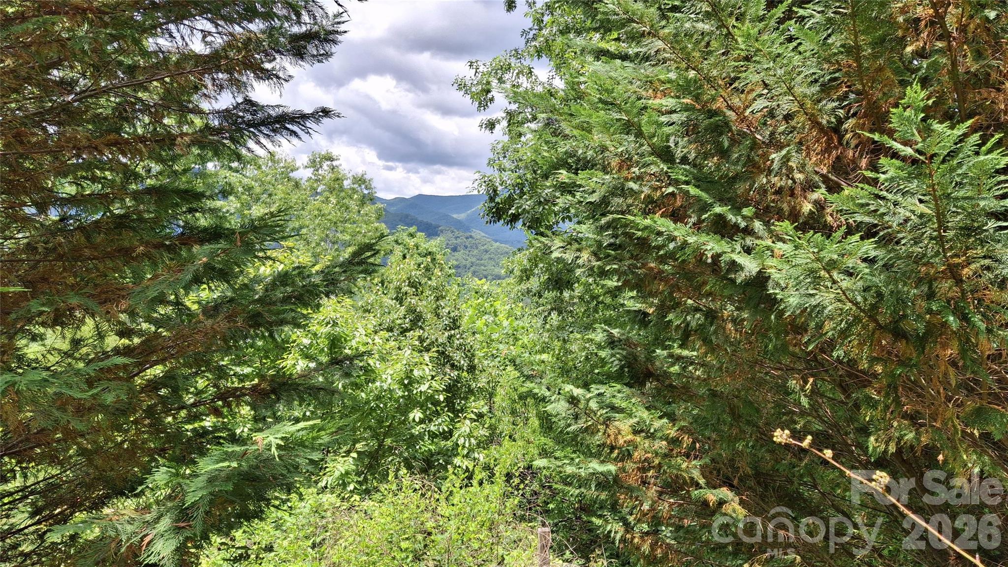 491 Signal Ridge Road 25