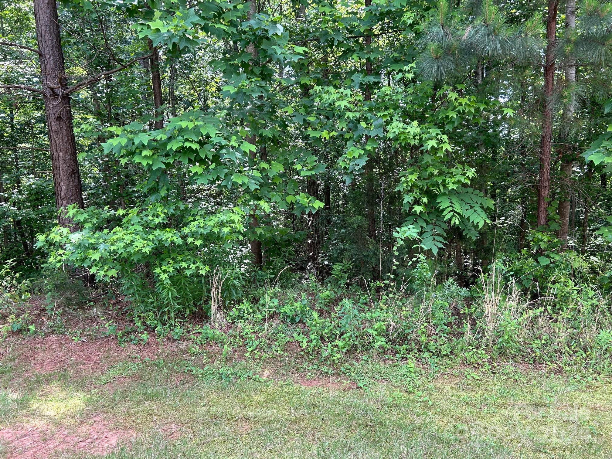 Constitution Park - Residential