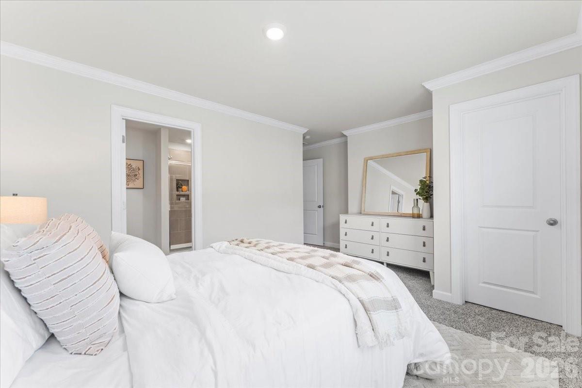 City Park - Residential