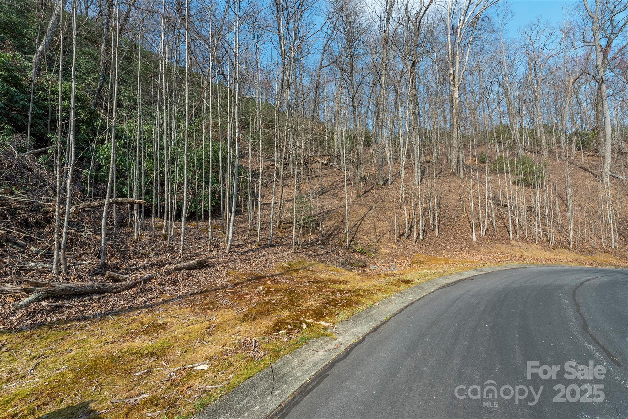 0 Shining Rock Path 12