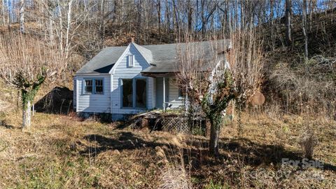 Photo of 218 Cub Creek Road, Bakersville, NC 28705 (MLS # 4327363)