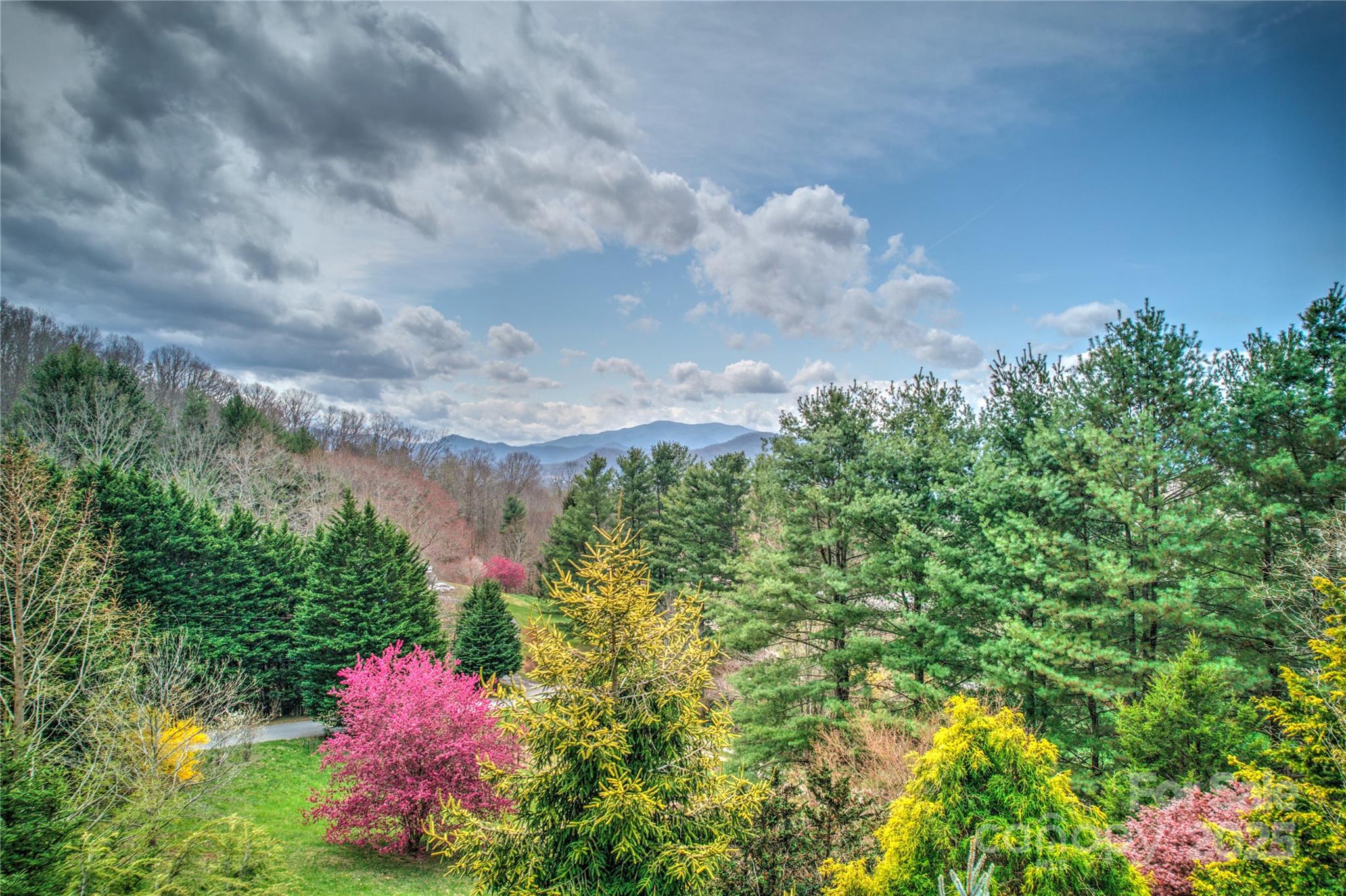 225 Seasons Drive