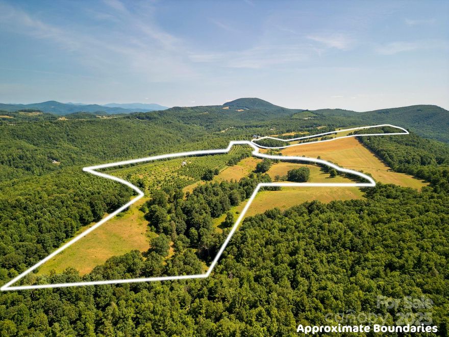 Here is a rare opportunity to own 50.44 acres in Henderson County.  This beautiful and remote parcel has open land, fenced pastures, wooded areas with running streams, and amazing long range views.  The land could be your private estate, farm, or vacation retreat.  This remote parcel is near the top of Bright's Creek Golf Resort.  A must see to appreciate the beauty.  This tract of land could accommodate up to 33 single family residences according to county zoning.  This would be a perfect opportunity for any developer.  The property is unrestricted and can be subdivided.  

Due to livestock on the property and locked gates, please contact the listing agent for directions and to schedule an accompanied showing. This property is on a remote, one lane, dirt road.