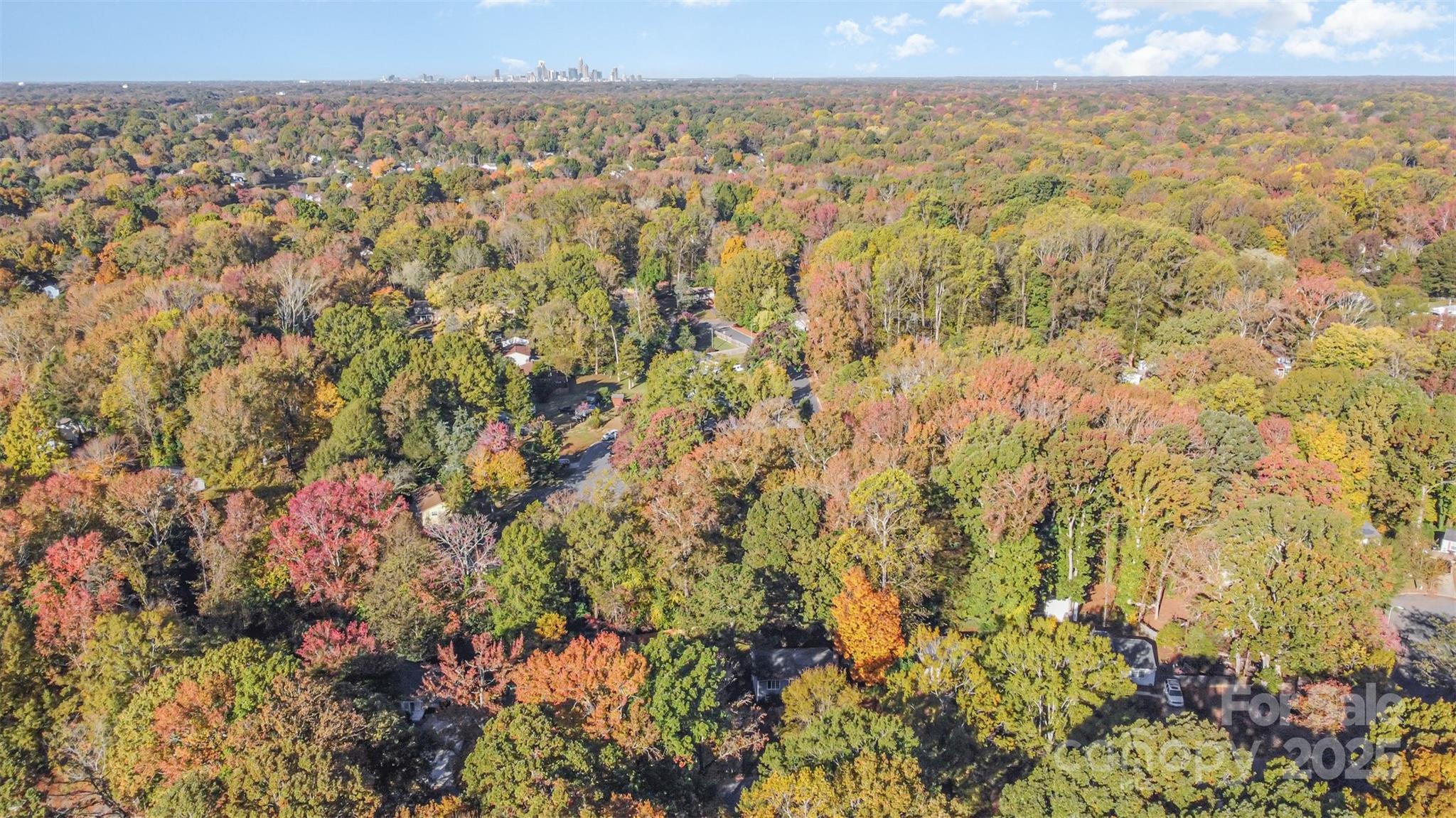 Birnam Woods - Residential