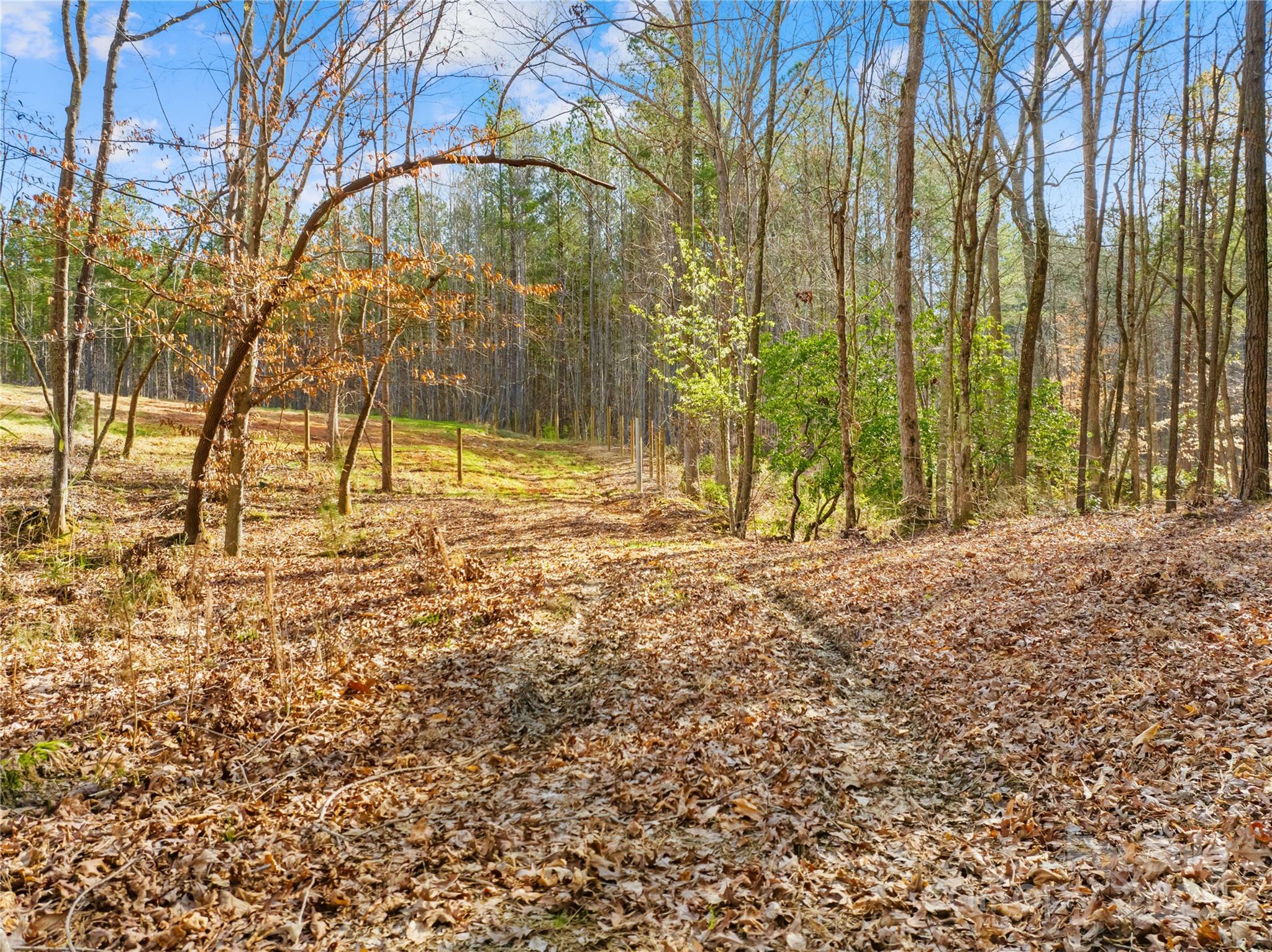 164 Linderman Lake Lane