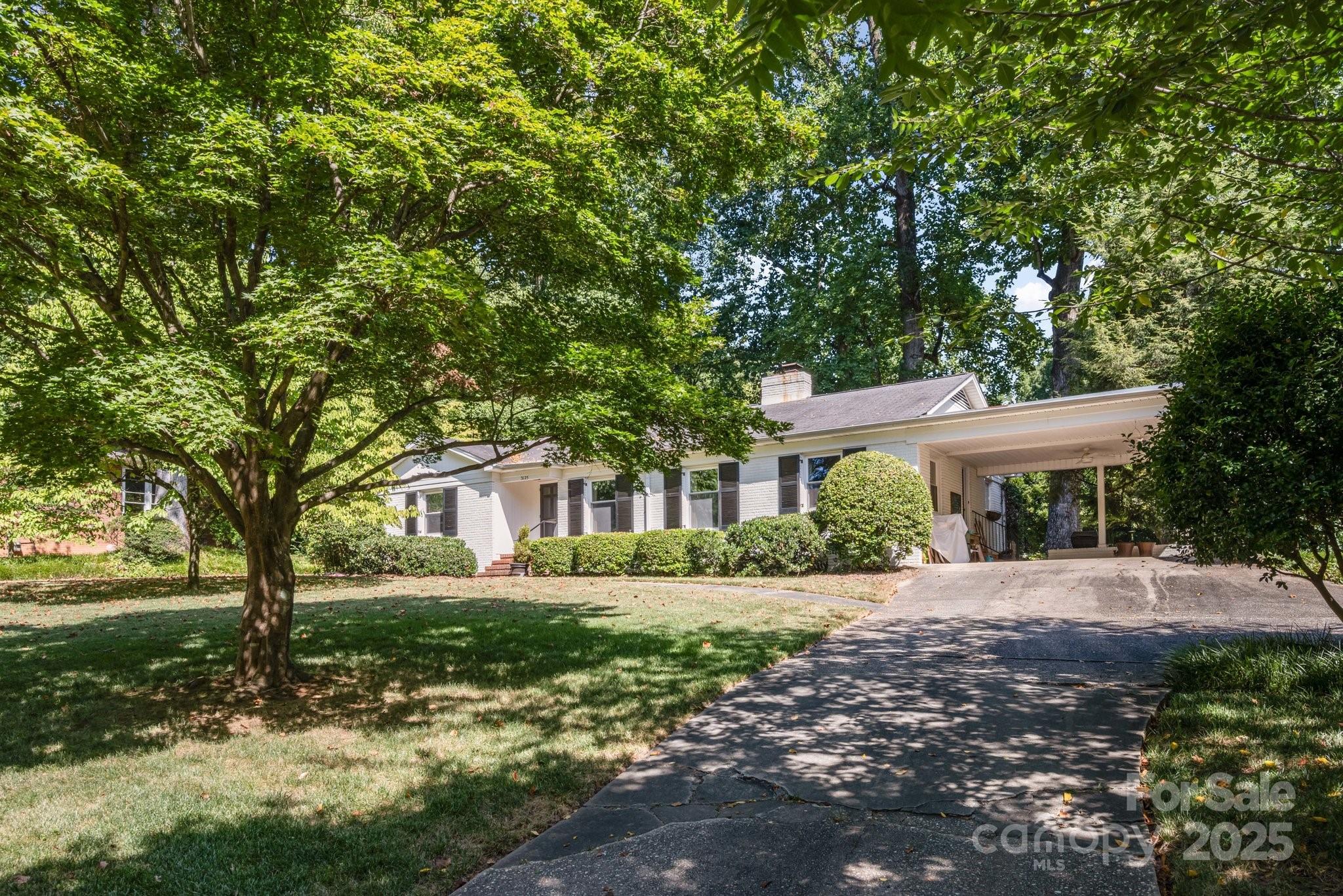3125 Loma Lane