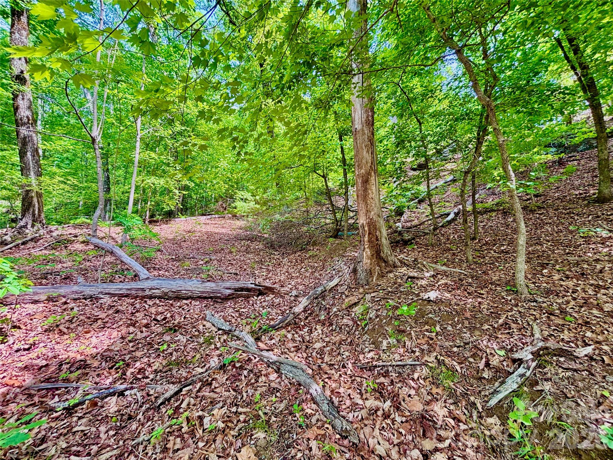 350 Springvalley Drive