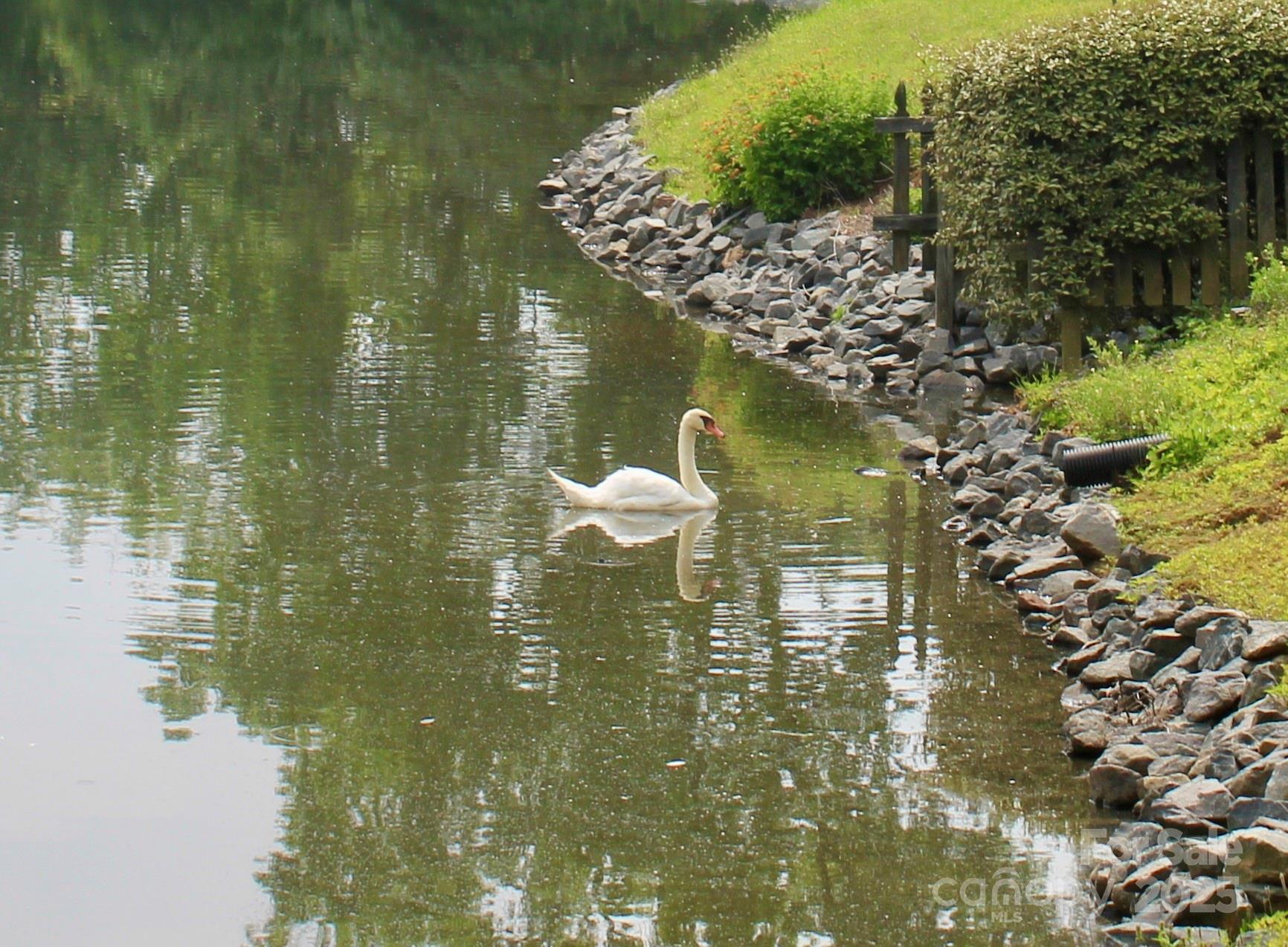 Harris Lake - Residential