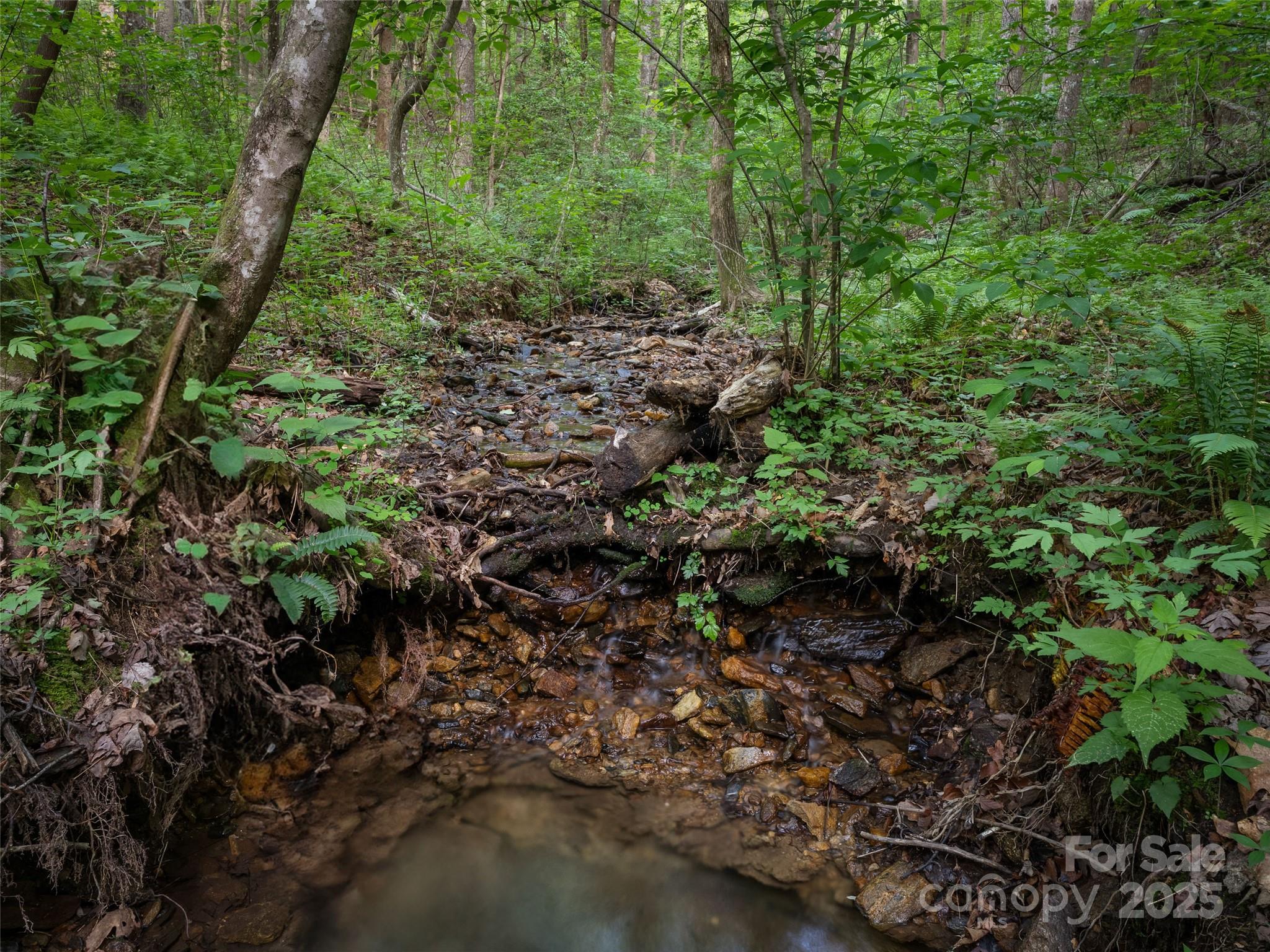 Cinnamon Woods - Residential