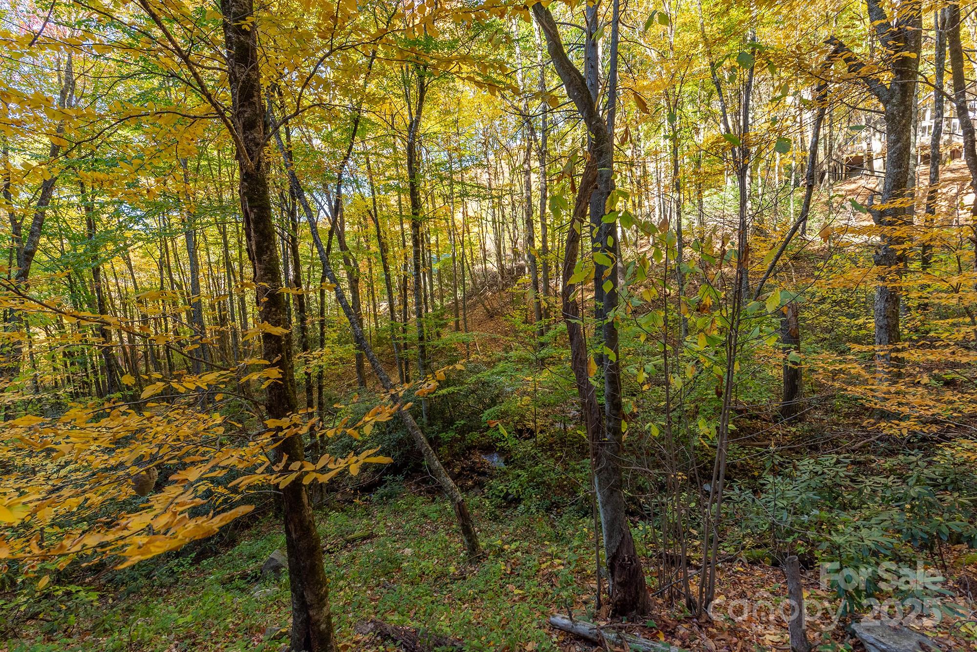 Sheepback Mountain - Residential
