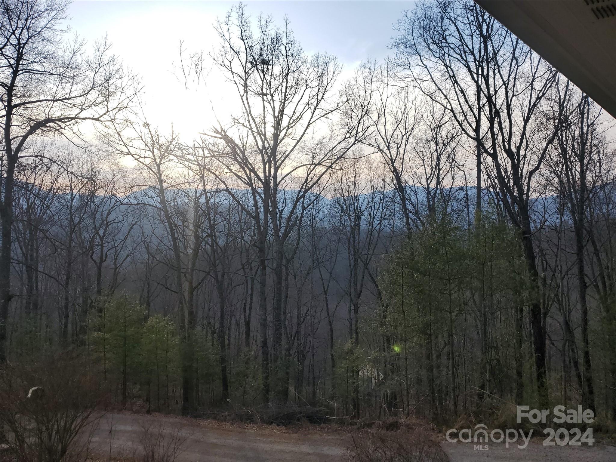 Blaine Mountain Estates - Residential