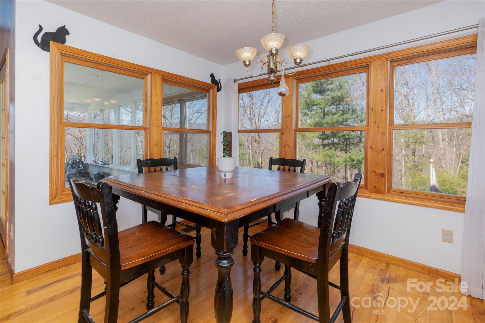 Blaine Mountain Estates - Residential