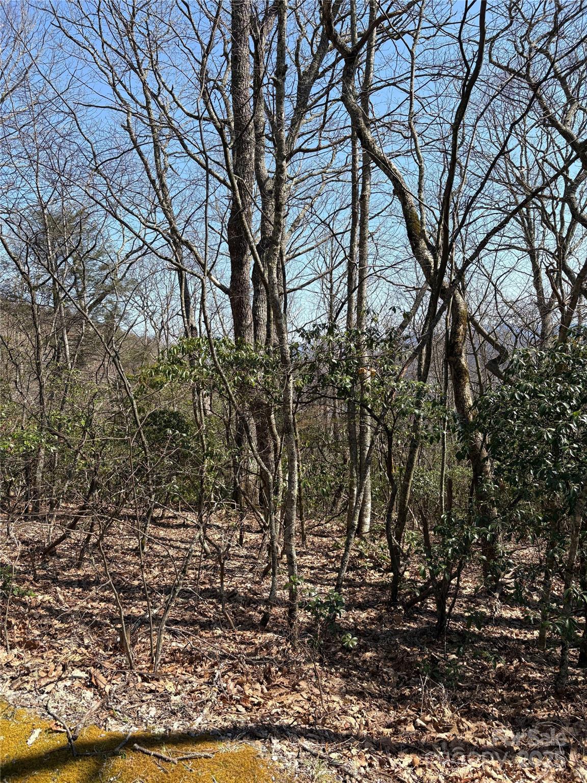 TBD Leatherwood Road 24B
