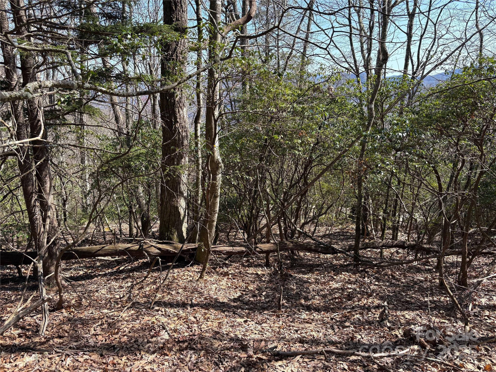 TBD Leatherwood Road 24B