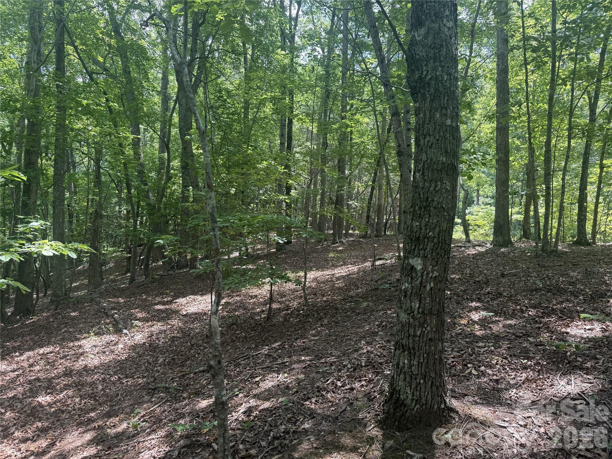 316 318 Cane Creek Mountain Road