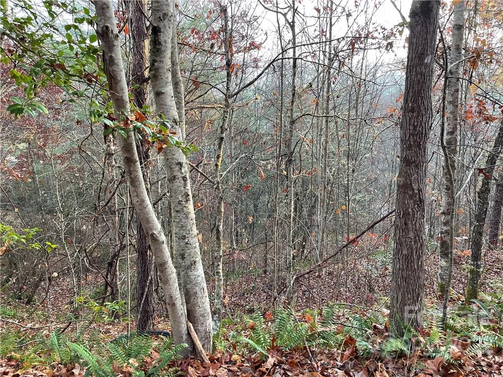 Lot 43 Kimiko Lane, Balsam Grove, NC, 28708