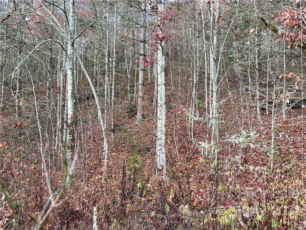 Balsam Grove Estates - Land