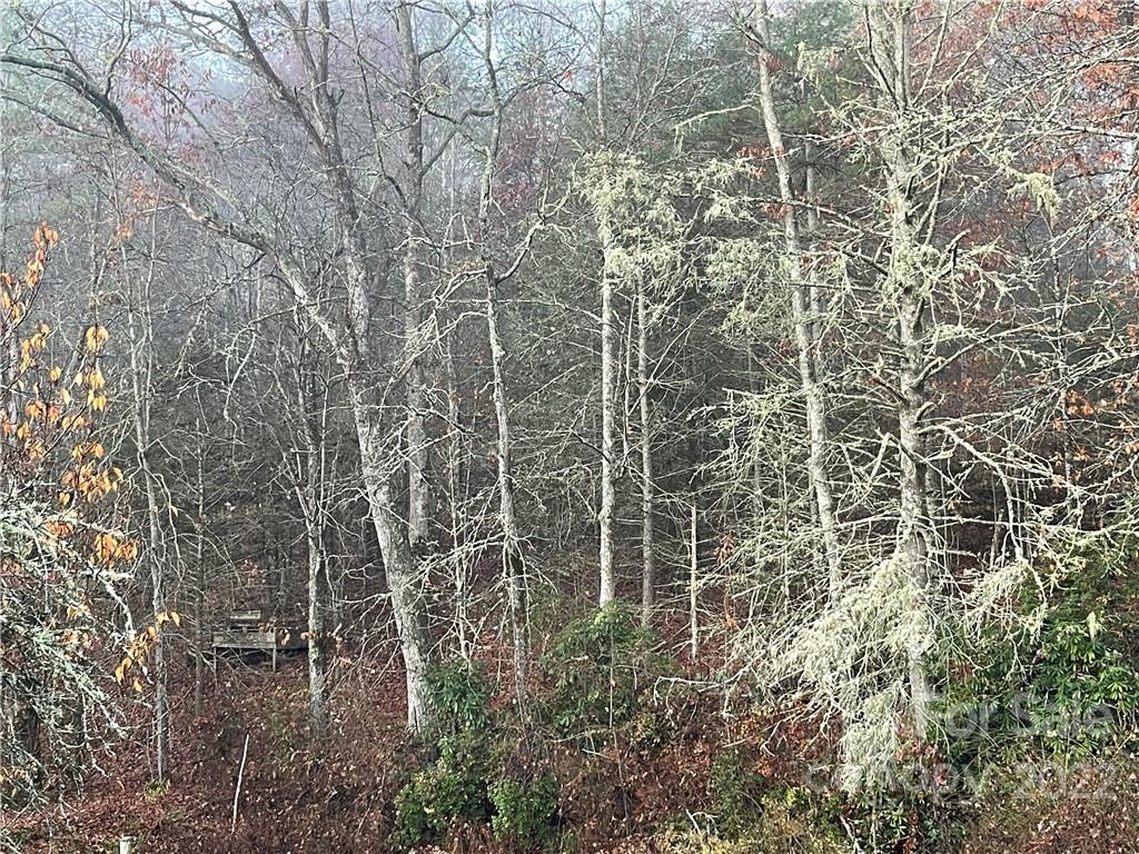 Balsam Grove Estates - Land