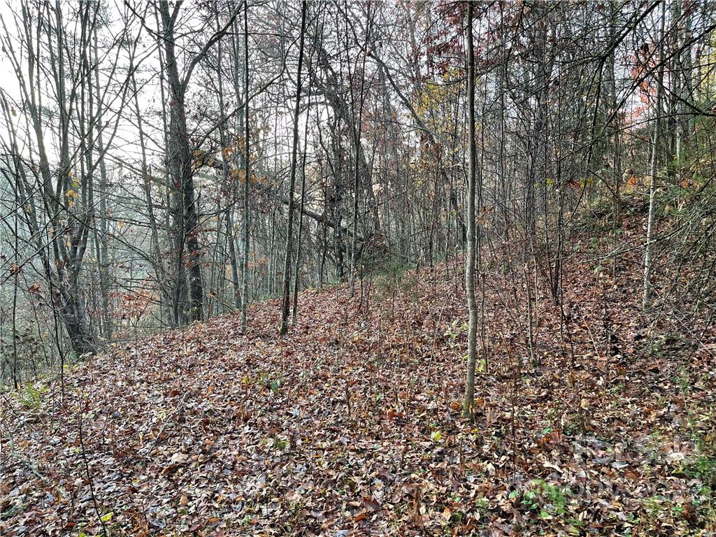 Balsam Grove Estates - Land