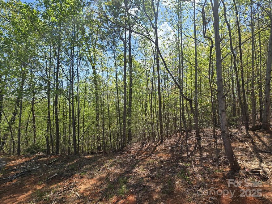Large Estate sized Lot in the Laurel Mountain Estates section of Rumbling Bald on Lake Lure.  This 2.4 acre lot offers a few different entrance options with several possible building sites. Winter views are likely with some year-round views possible, depending on the placement of the home on the lot. Underground utilities including Community Water, Power, and High-Speed Fiber Optic Internet. There are plans to add an attractive security gate to this neighborhood sometime in the future for additional privacy.  Land for a community park is in the planning stages as well. The community cart path passes through this neighborhood and provides access to the main gate via connecting paths. An amazing opportunity for anyone looking for a unique and private building site while also enjoying all the amenities Rumbling Bald has to offer including two Championship Golf Courses, three pools, Wellness Center, Spa and Salon, Beach, and much, much, more.