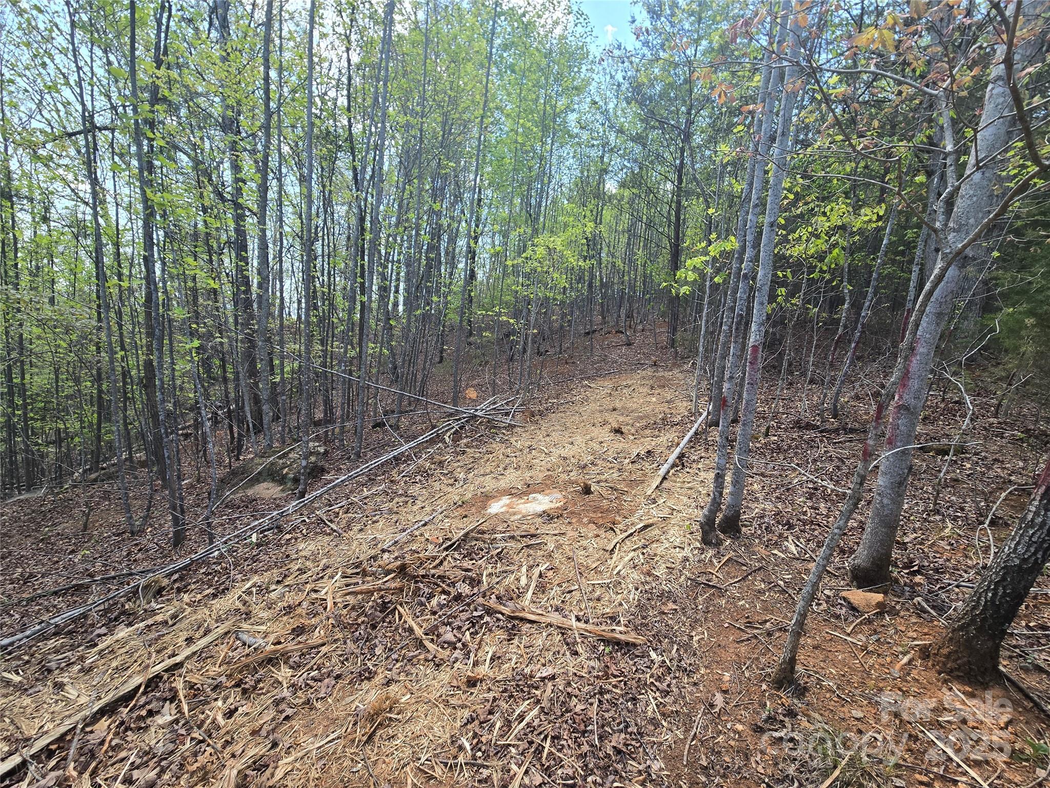 Lot 20 Touch Me Not Trail
