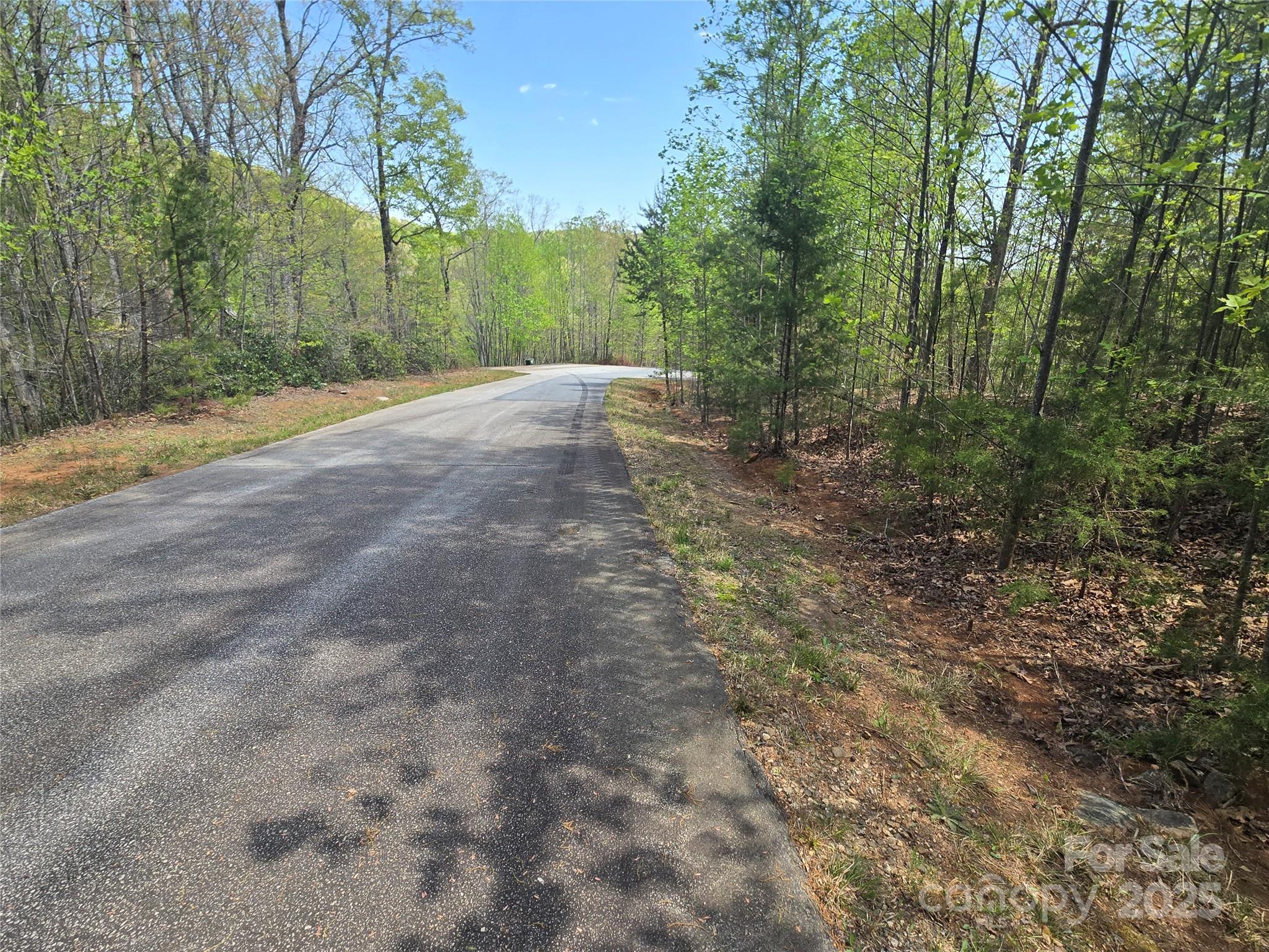 Lot 20 Touch Me Not Trail