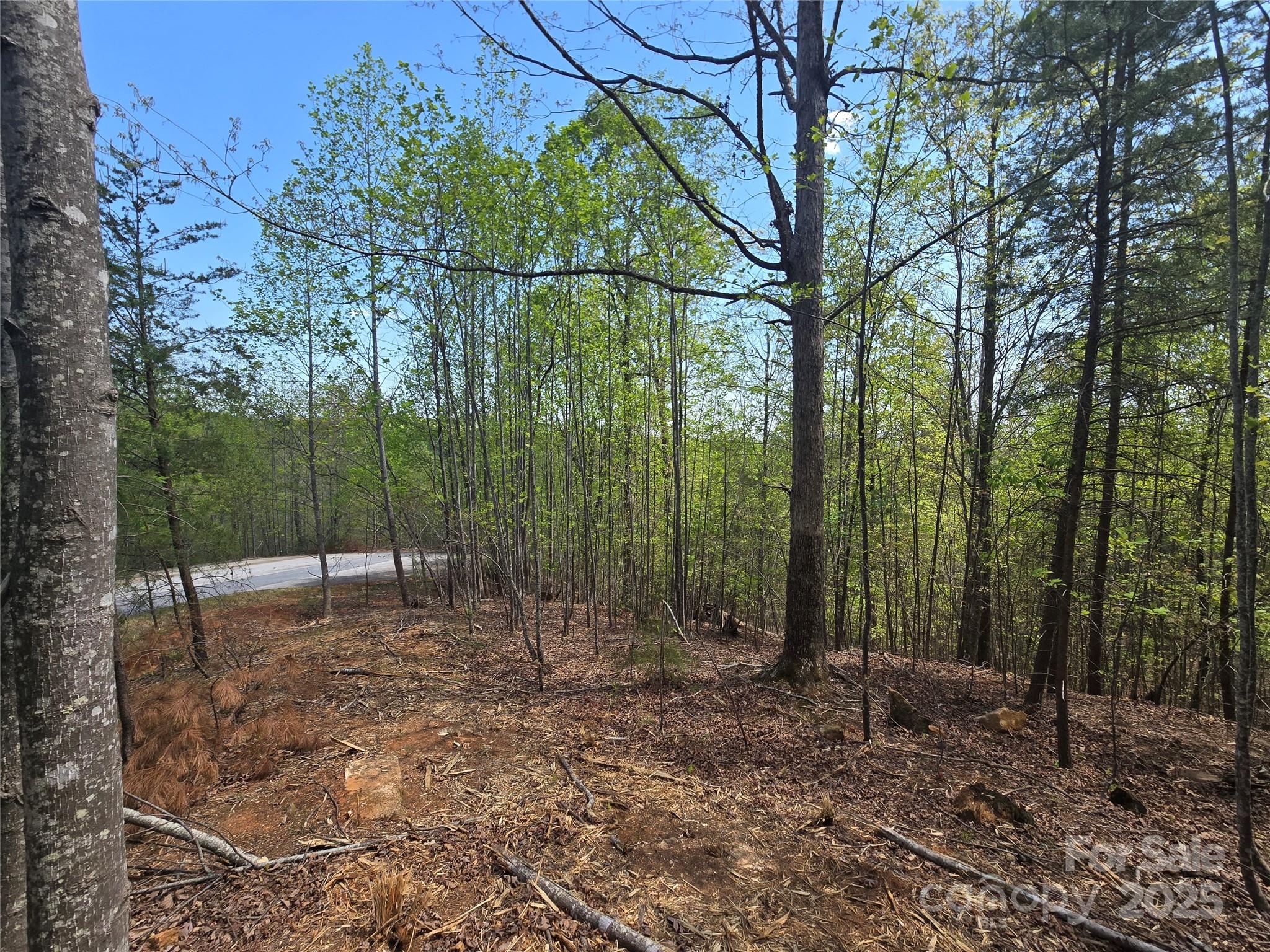 Rumbling Bald on Lake Lure - Land