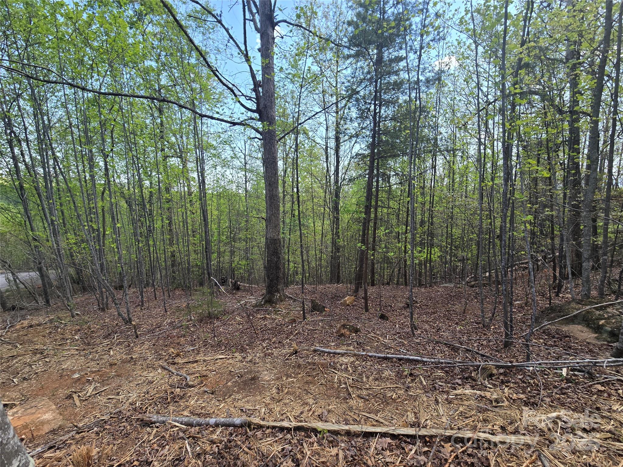 Rumbling Bald on Lake Lure - Land