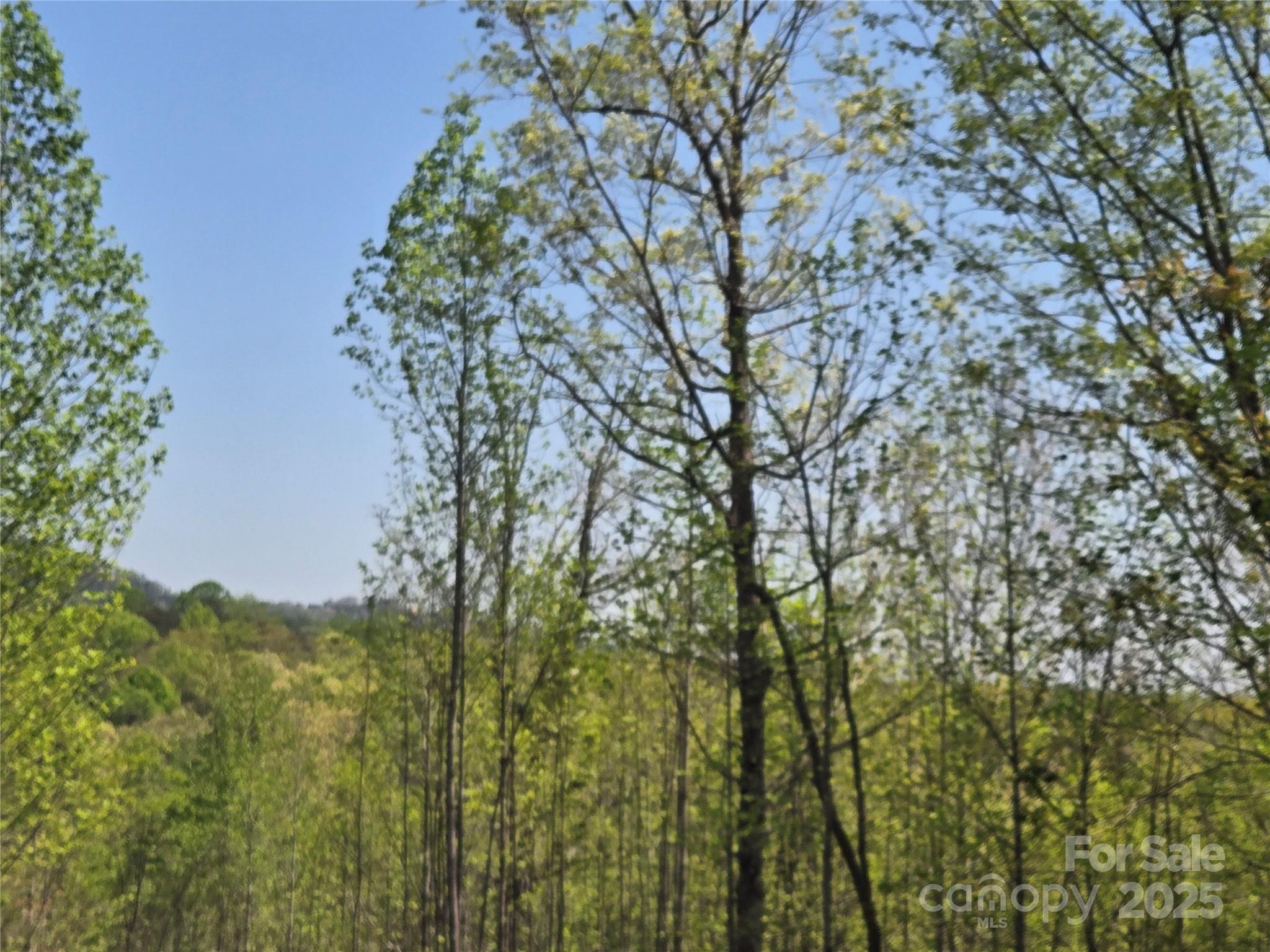 Lot 20 Touch Me Not Trail