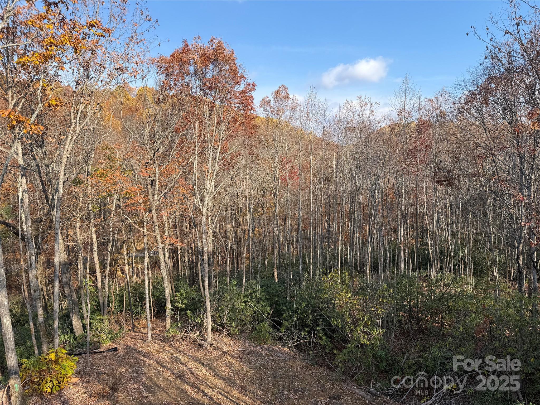 233 Arcadia Falls Way