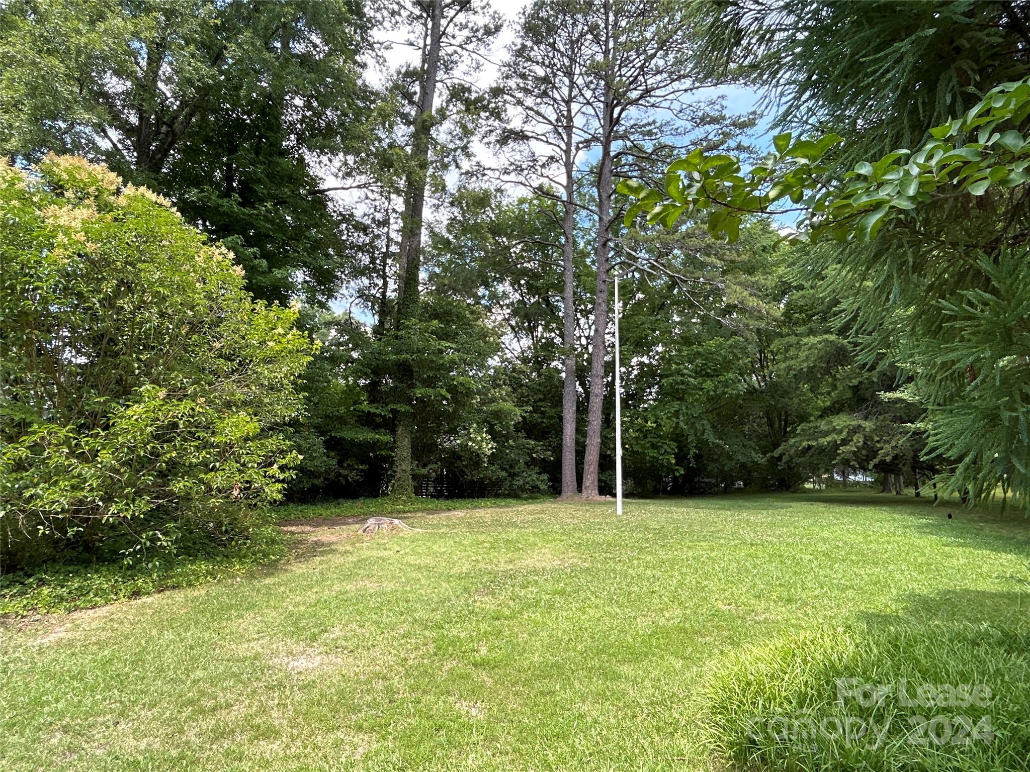 None - Residential Lease