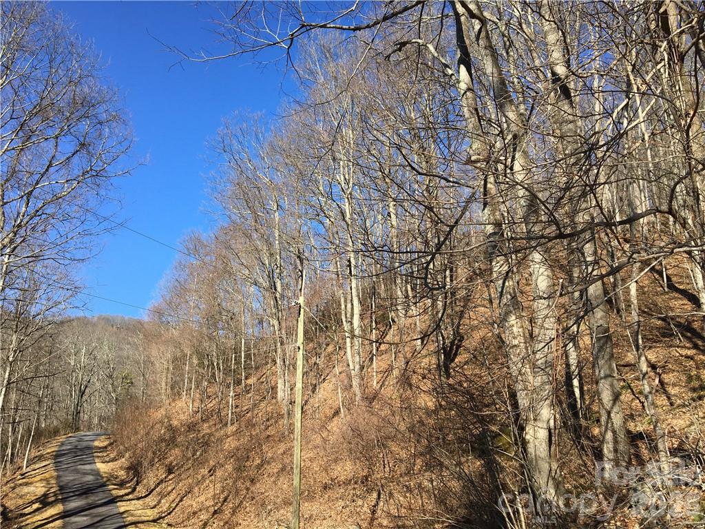 99999 Red Oak Forest Road