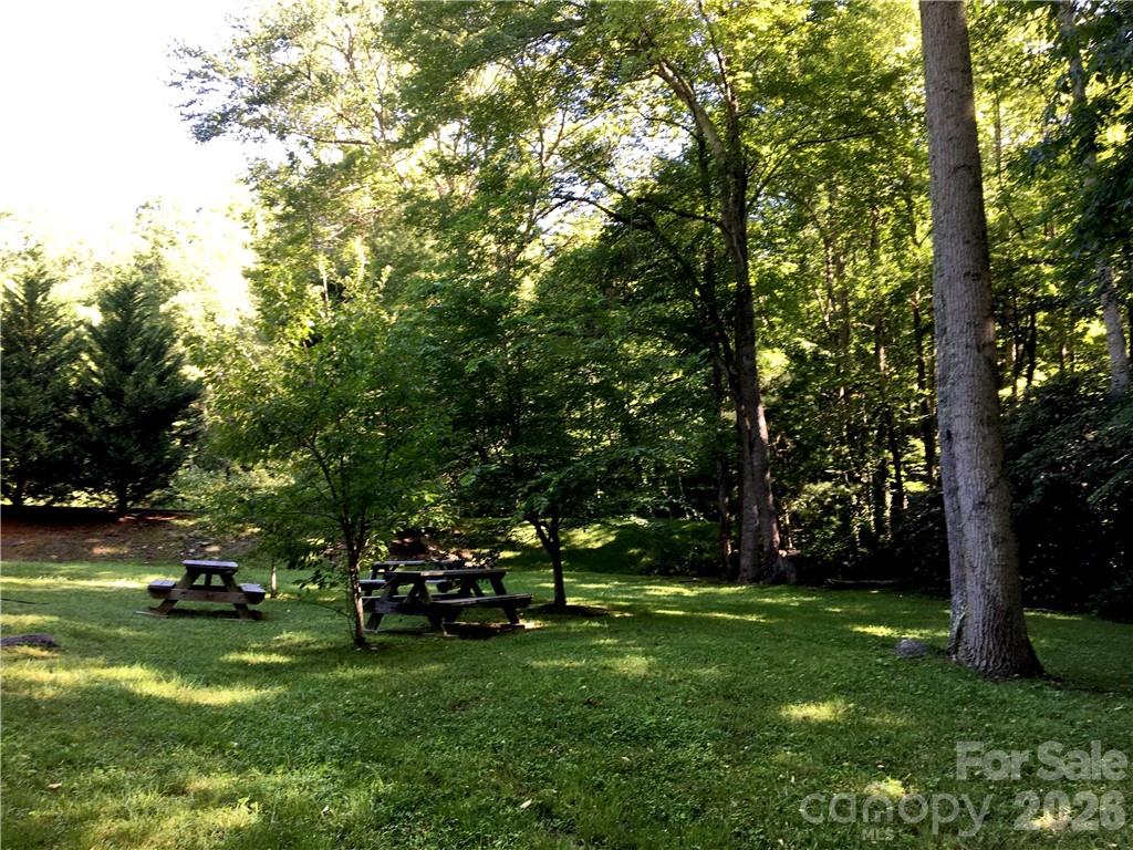 Fairview Forest - Land