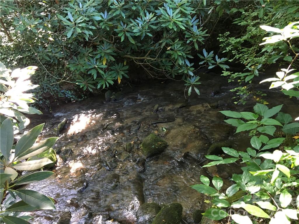 Fairview Forest - Land