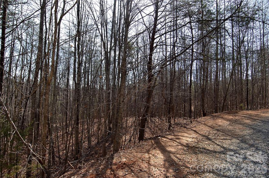 Beautiful 3.77-acre wooded lot located in a private, gated community. This sloped property offers a buildable area surrounded by mature trees, providing the perfect setting for your dream home. Enjoy resort-style amenities including a community pool and spa with pool house, a lakeside park for canoeing and fishing, picnic tables, outdoor grills and scenic walking trails. Acreage, privacy and amenities all in one exceptional property.