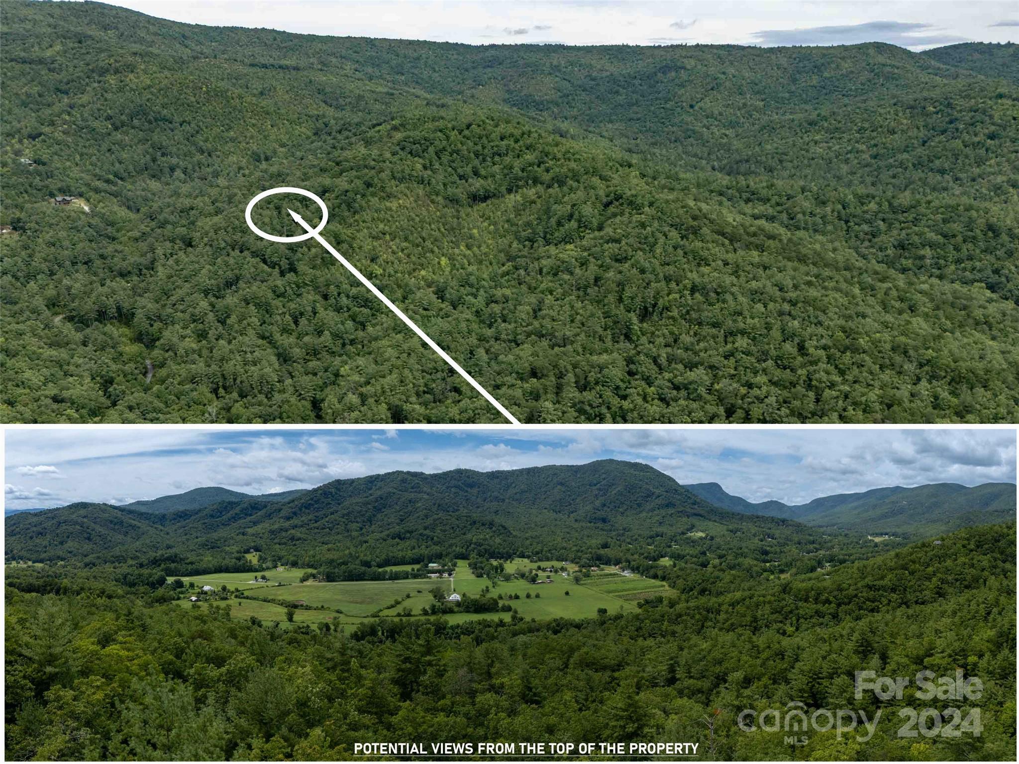 6786 Old Linville Road