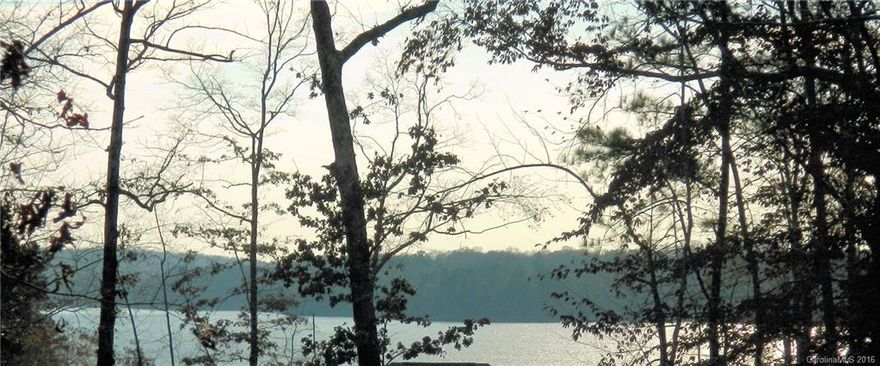 HALF OF TAX VALUE!  MOTIVATED SELLER. BEAUTIFUL LAKEVIEW LOT with water/sewer.  Build the home of your dreams in Swift Island Plantation, an upscale gated community on Lake Tillery, for those seeking a beautiful private lifestyle.  Lot offers beautiful, mountain top view of Lake Tillery.  Boat storage available, boat dock near by, plus adjoins Tillery Tradition Golf Community offering a beautiful golf course, clubhouse, pool & restaurant. Covenants & other information can be found at Siphoa.com.