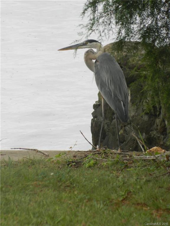 Swift Island Plantation - Land