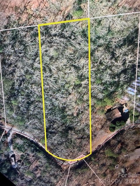 0 Wolf Trail 030 Lake Lure NC 28746