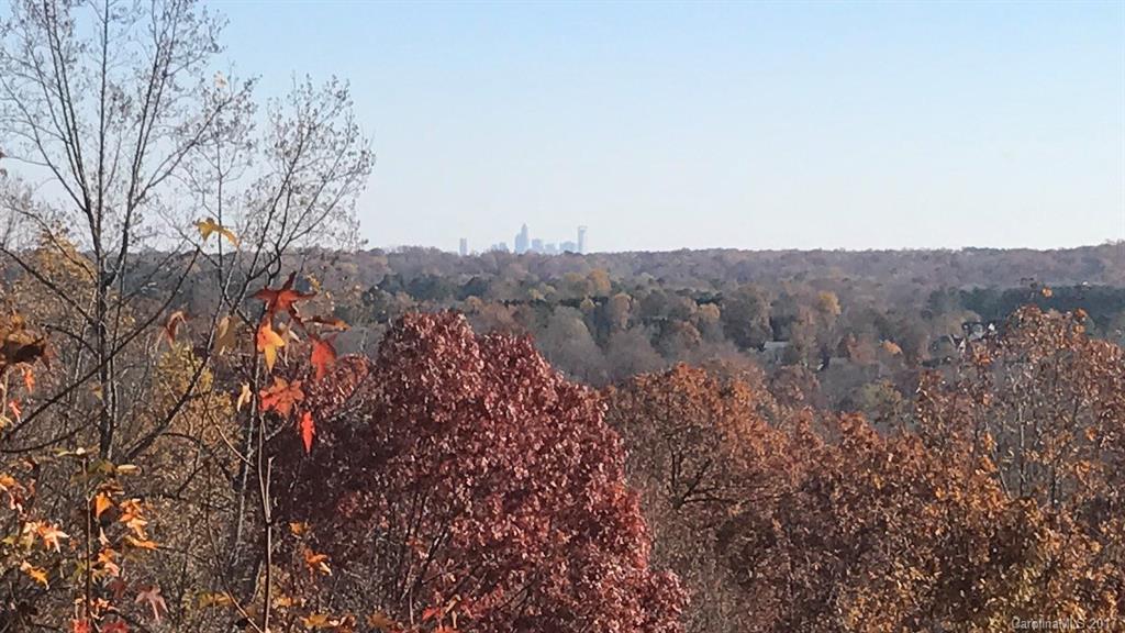 Cramer Mountain - Land