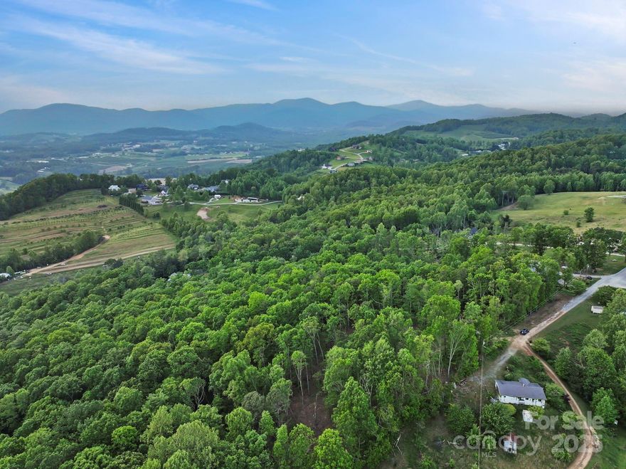 Escape to your own slice of paradise! This beautiful plot of land offers beautiful mountain views and great winter views, perfect for building your dream home. Whether you're a nature enthusiast or seeking tranquility away from the city, this property is an opportunity you don't want to miss! Perfect place for your mini farm. Private, Fully Wooded, Sloped land with enough flat areas for a house and garden. Small creek, easy access, 20 minutes from downtown Hendersonville. Adjoining lots are also available for sale.