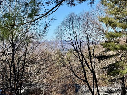 15 Elmwood Lane 161 Asheville NC 28803