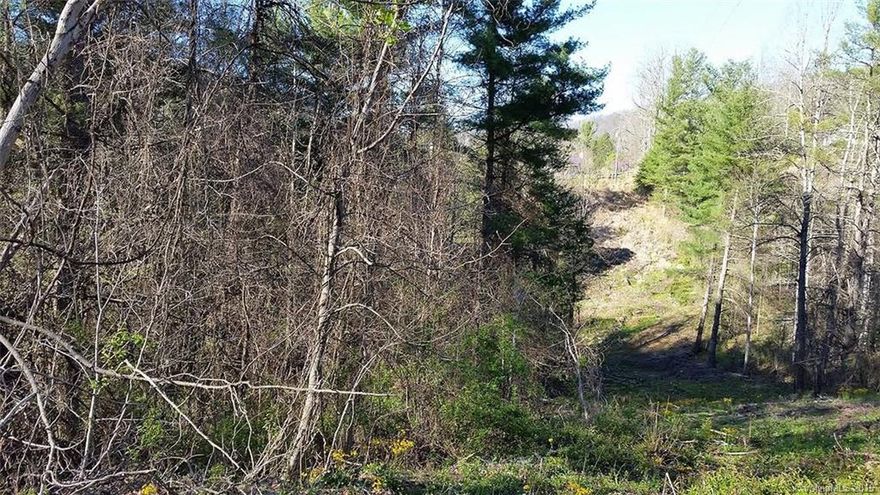 Located about 5 miles from I-26 and Jupiter Barnardsville, Exit 15. Will need to be cleared. Available for manufactured homes, Modulars and Stick built. Have previous perc permit a 3BR septic field in file. Survey on file.