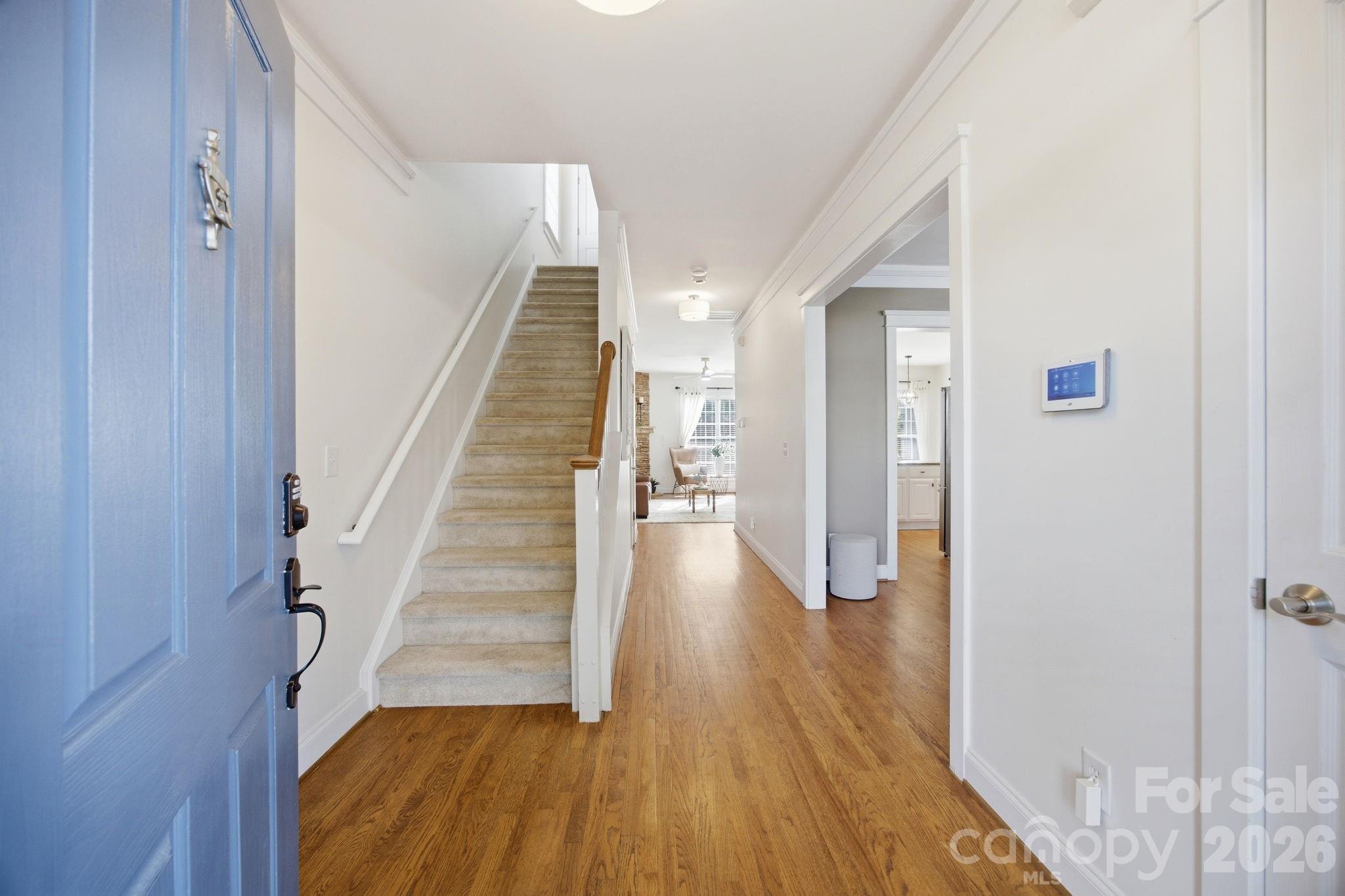 191 Lilac Mist Loop