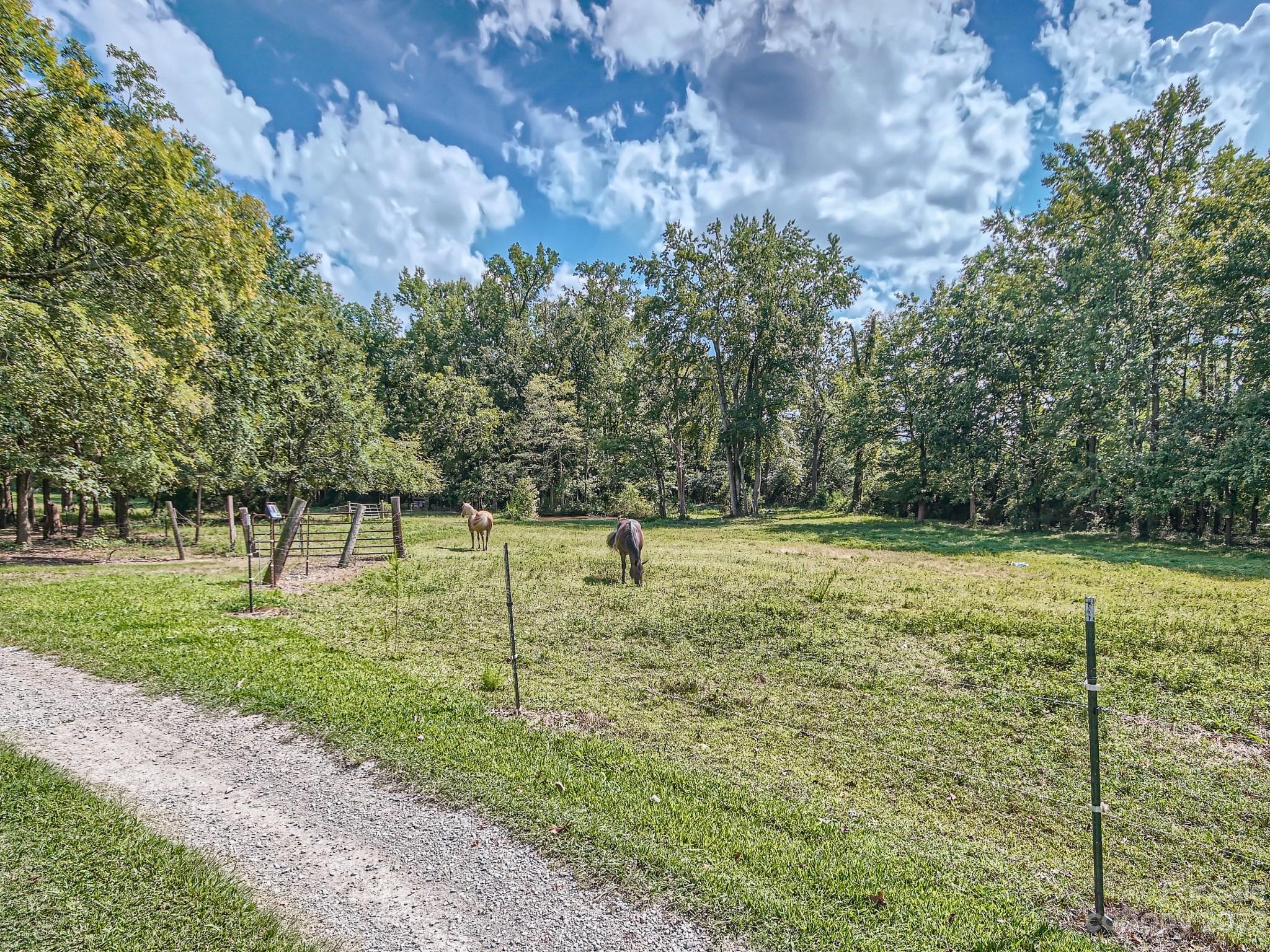 Hemby Woods - Residential