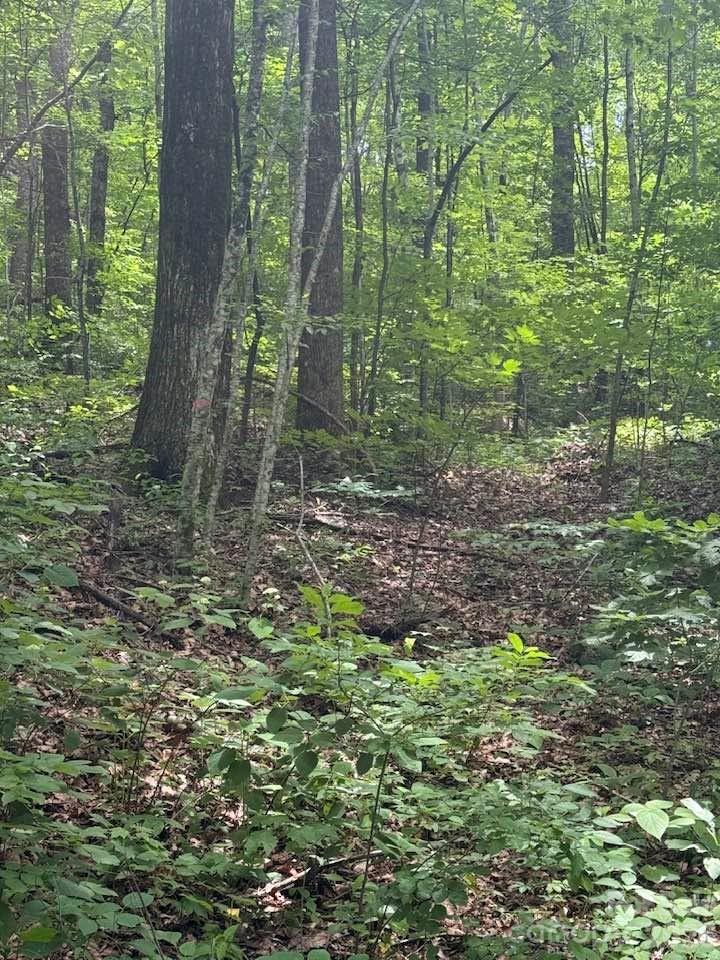 000 Summit Road 343