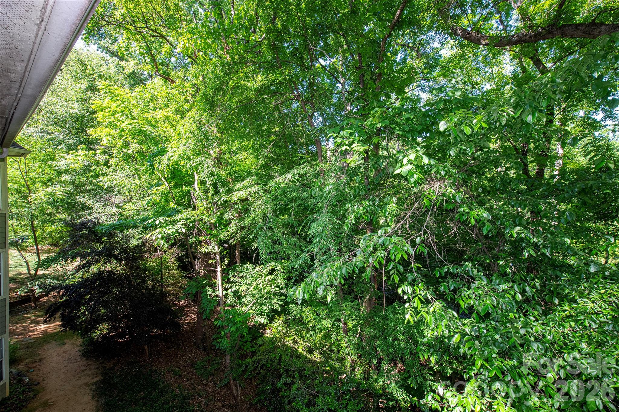 Bennington Woods - Residential