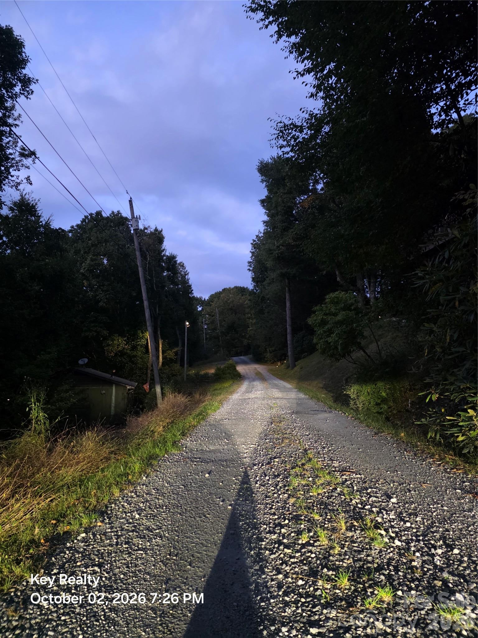 0000 Forest Lane