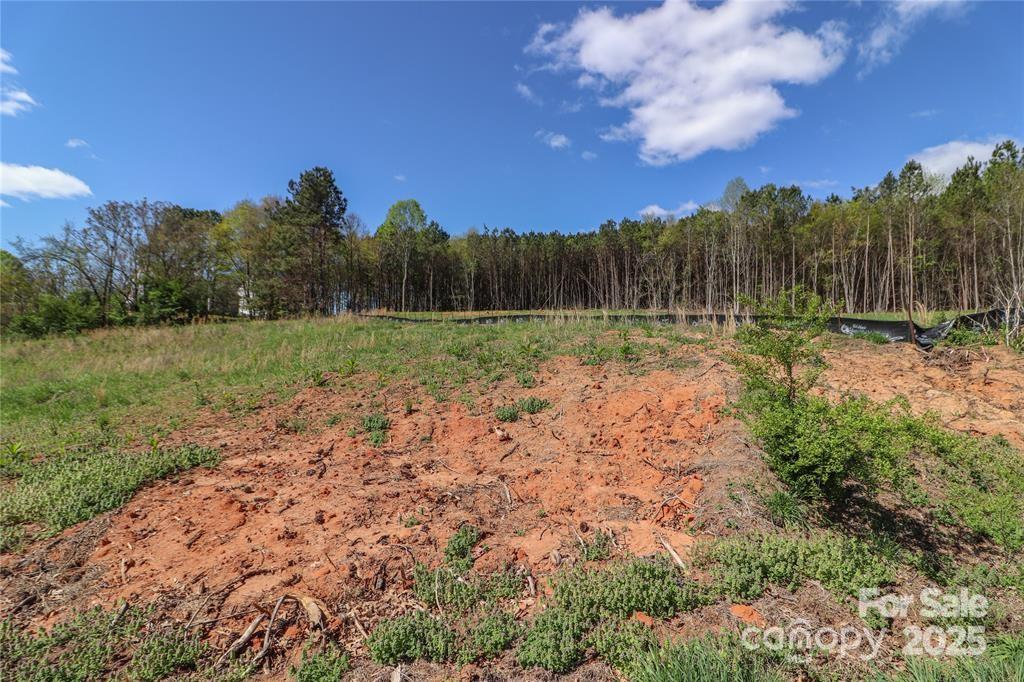 Cypress Farms - Land