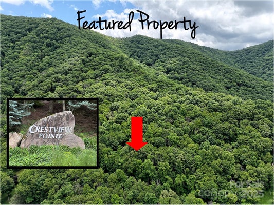 18 LINCOLN WAY, WAYNESVILLE, NC 28786 - Image 0bbd75d5da1dea7d30cbdf0475fe77be/690735035